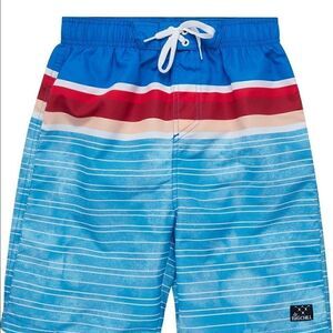 Big Chill Boys' Swim Trunks - UPF 50+ Quick Dry Shark Board Shorts Bathing Suit
